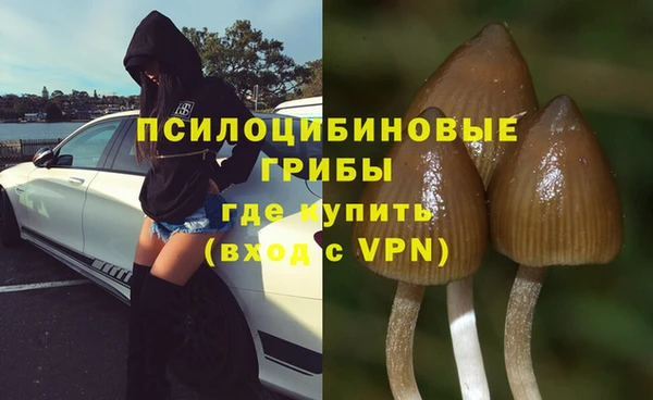 стафф Абдулино