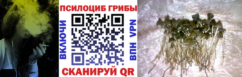Псилоцибиновые грибы ЛСД Комсомольск-на-Амуре