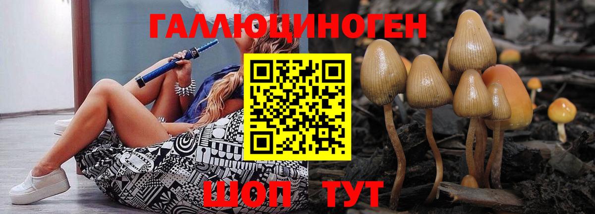 Комсомольск-на-Амуре  Галлюциногенные грибы Psilocybine cubensis  Псилоцибиновые грибы GOLDEN TEACHER  Вход с VPN 